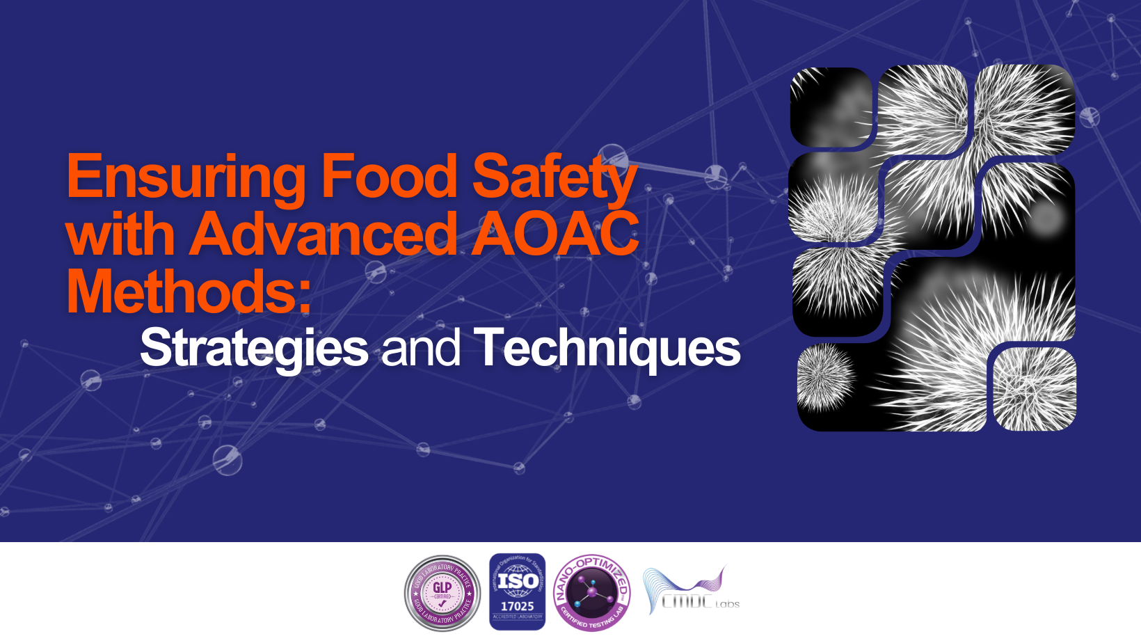 Ensuring Food Safety with Advanced AOAC Methods: Strategies and Techniques