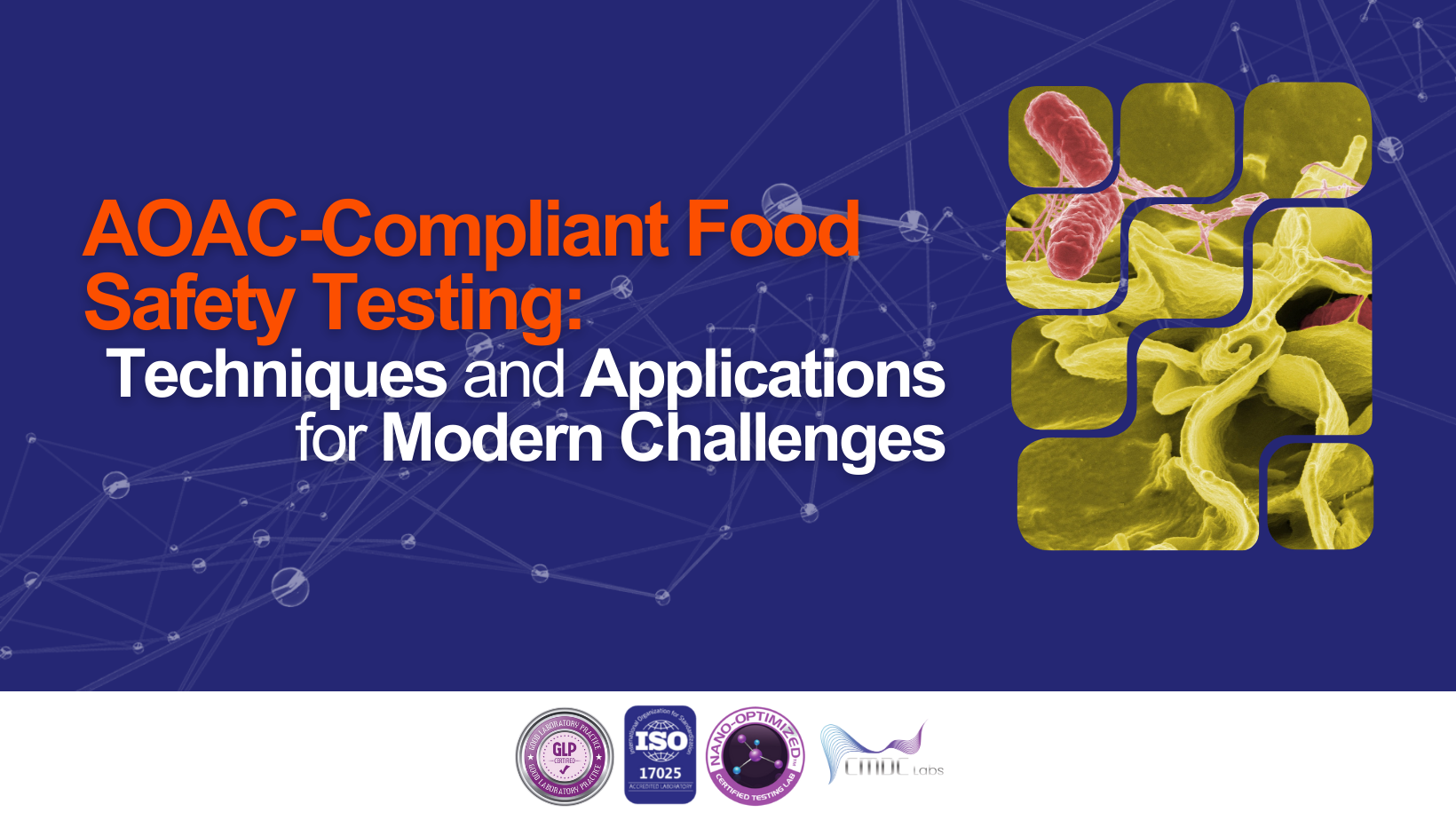 AOAC-Compliant Food Safety Testing: Techniques and Applications for Modern Challenges