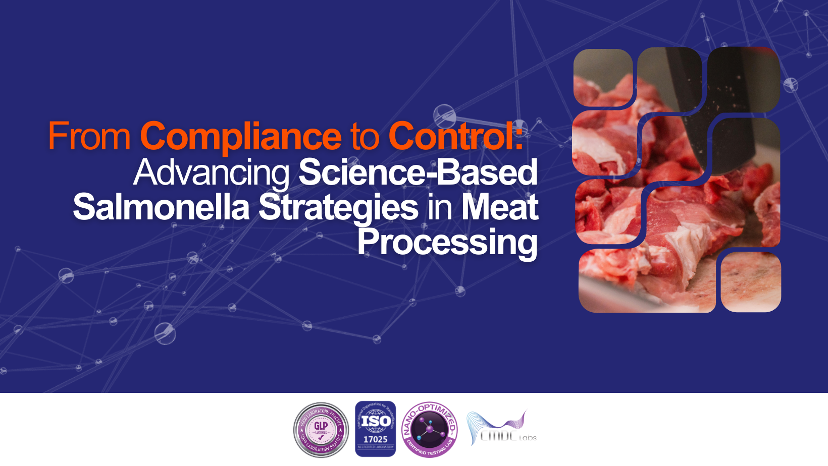 From Compliance to Control: Advancing Science-Based Salmonella Strategies in Meat Processing